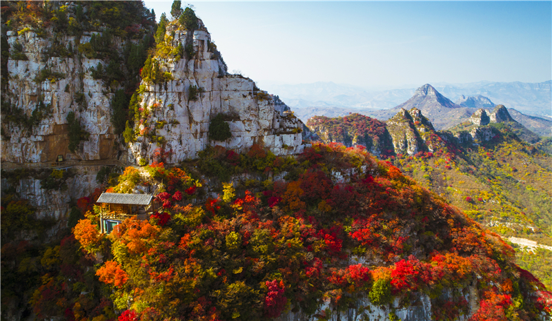 红叶 (2).jpg 红叶 (2).jpg